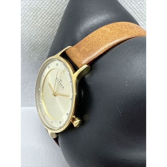 Skagen SKW2147 Women\'s Brown Leather Analog Dial Quartz Wrist Watch AEA261 main image 8